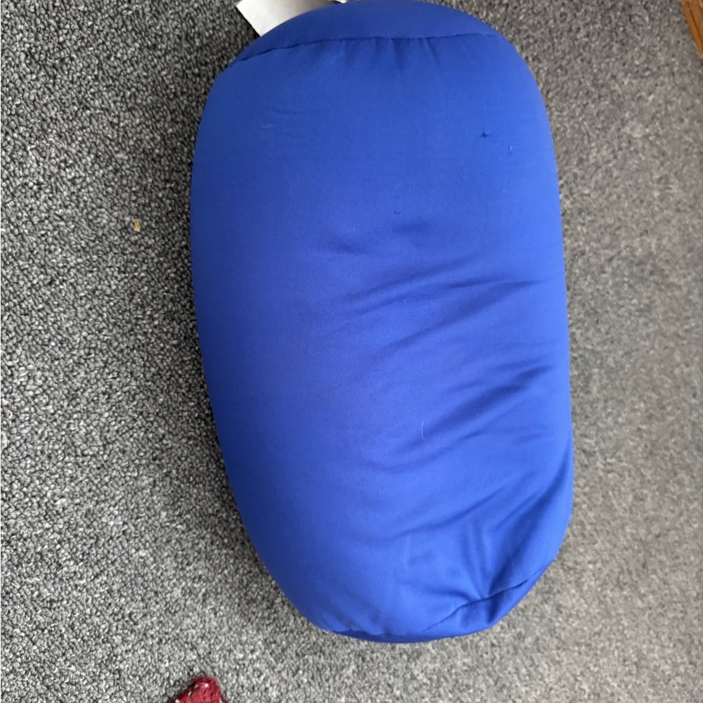Sharper Image Blue Pillow